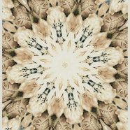 Diseño floral Fondo de Pantalla de iPhone8
