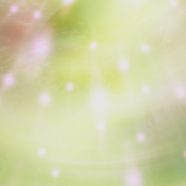 gradación de color amarillo Fondo de Pantalla de iPhone8