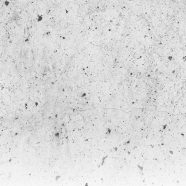 Ilustración amarilla de Nueva York Fondo de Pantalla de iPhone8