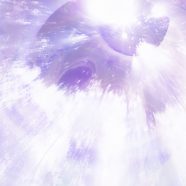 gradación púrpura del árbol Fondo de Pantalla de iPhone8