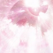 gradación del rojo del árbol Fondo de Pantalla de iPhone8