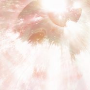 gradación de color naranja árbol Fondo de Pantalla de iPhone8