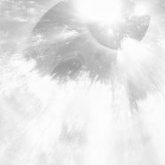 gradación de árbol gris Fondo de Pantalla de iPhone8