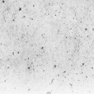 Miami Ilustración púrpura Fondo de Pantalla de iPhone8