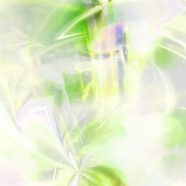 Gradación del verde amarillo Fondo de Pantalla de iPhone8