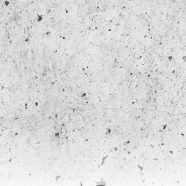 Filadelfia ilustración del verde amarillo Fondo de Pantalla de iPhone8