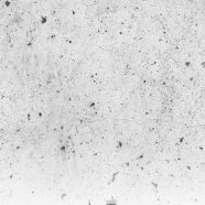 Filadelfia ilustración púrpura Fondo de Pantalla de iPhone8