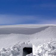 paisaje de la nieve Fondo de Pantalla de iPhone8