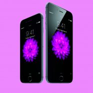 púrpura iPhone6iPhone6PlusApple Fondo de Pantalla de iPhone8