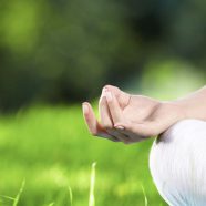 Mano meditación del yoga verde Fondo de Pantalla de iPhone8