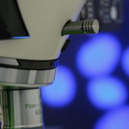 microscopio azul Fondo de Pantalla de iPhone8