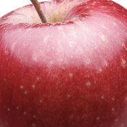 manzana rojo alimentos Fondo de Pantalla de iPhone8