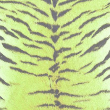Modelo de la piel de tigre verde amarillo Fondo de Pantalla de iPhone8