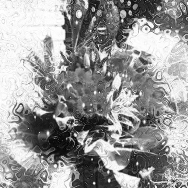 Flor blanco y negro Fondo de Pantalla de iPhone8Plus