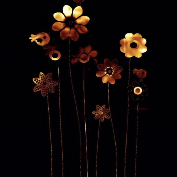 Flor fresco Fondo de Pantalla de iPhone8Plus