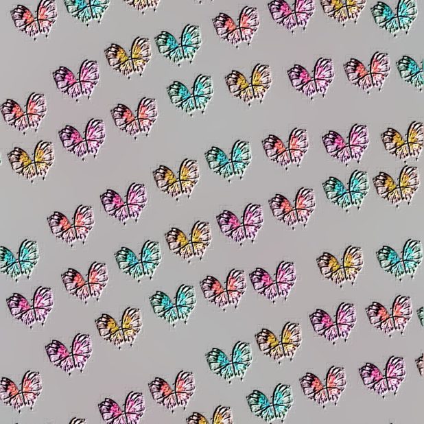 Mariposa colorida Fondo de Pantalla de iPhone8Plus