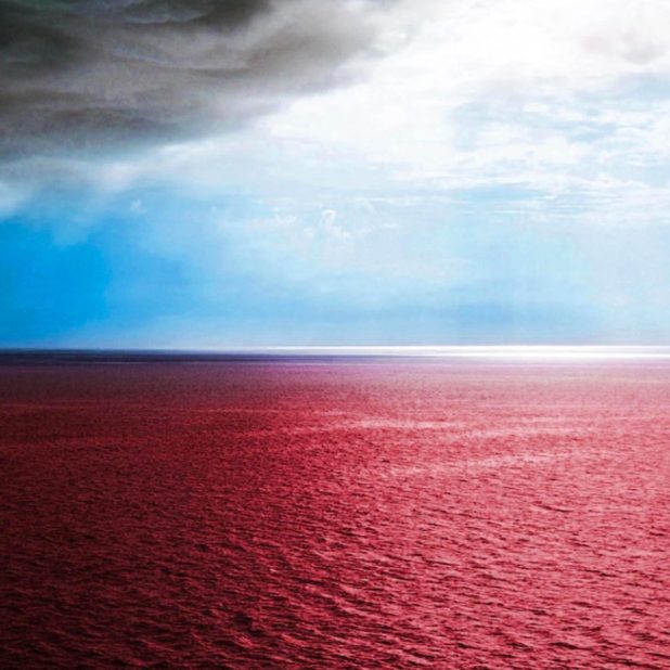 paisaje del mar Fondo de Pantalla de iPhone8Plus