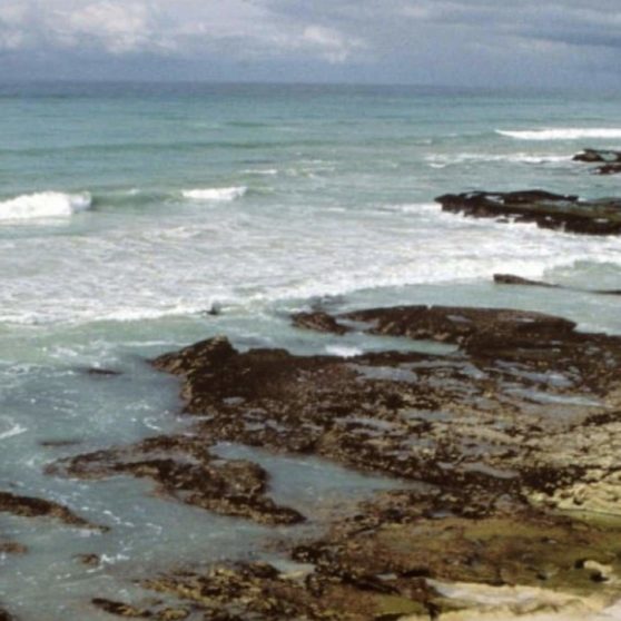 paisaje del mar Fondo de Pantalla de iPhoneX