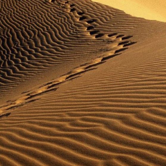 paisaje del desierto Fondo de Pantalla de iPhoneX