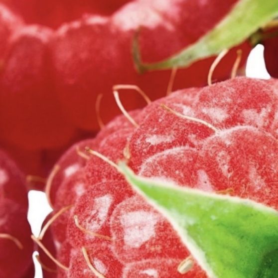 Berry alimentos Fondo de Pantalla de iPhoneX