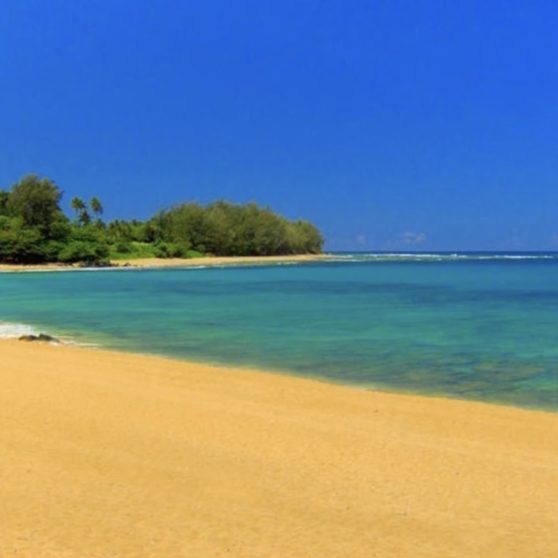 paisaje de la playa Fondo de Pantalla de iPhoneX
