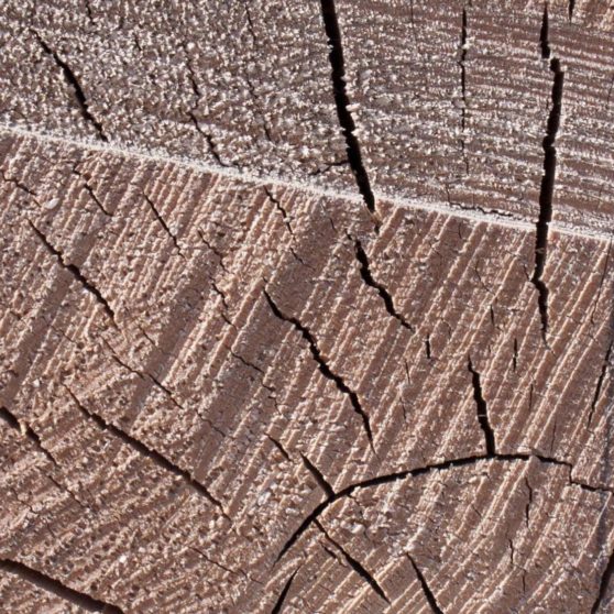 marrón madera pared Fondo de Pantalla de iPhoneX