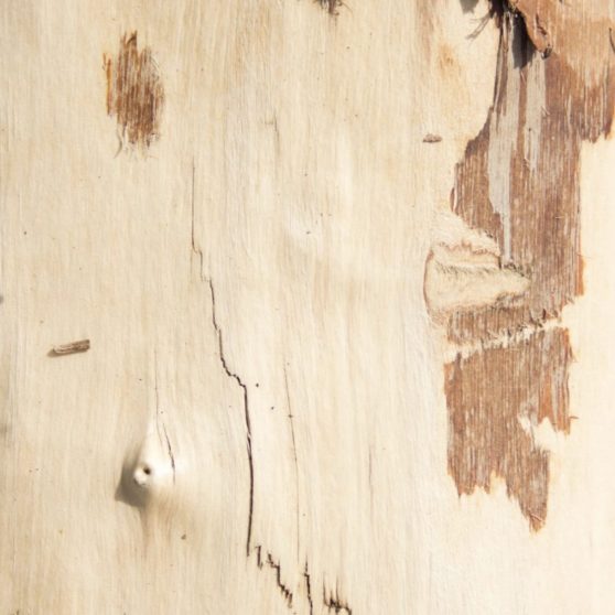 marrón madera pared Fondo de Pantalla de iPhoneX