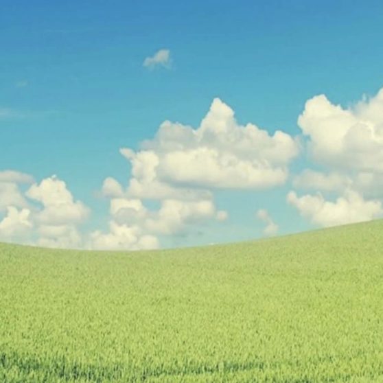 nube cielo verde Fondo de Pantalla de iPhoneX