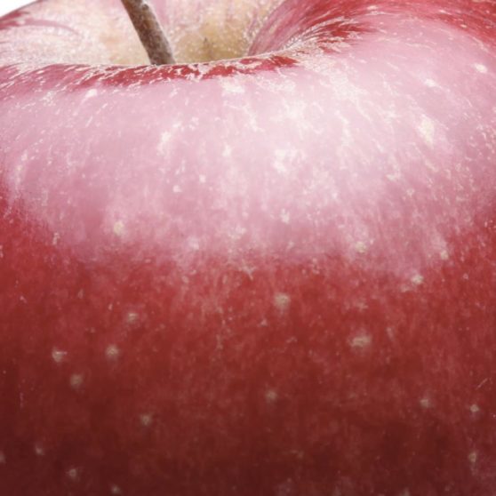 manzana rojo alimentos Fondo de Pantalla de iPhoneX