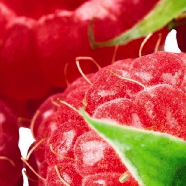 Berry alimentos Fondo de Pantalla de iPhoneXSMax