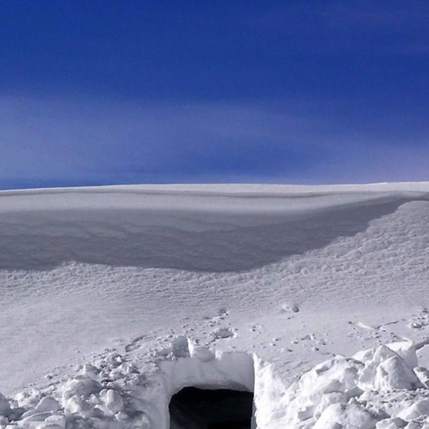 paisaje de la nieve Fondo de Pantalla de iPhoneXSMax