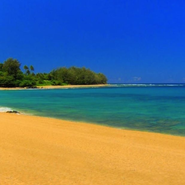 paisaje de la playa Fondo de Pantalla de iPhoneXSMax