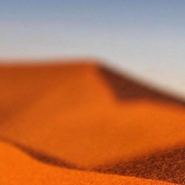 paisaje del desierto Fondo de Pantalla de iPhoneXSMax