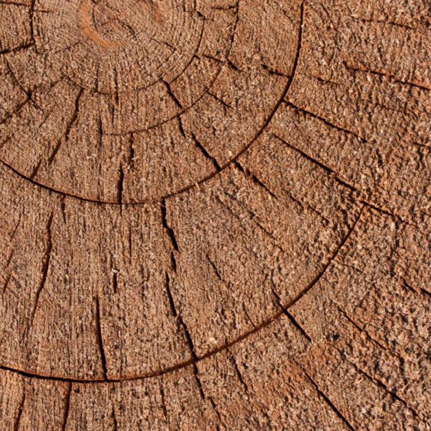 marrón madera pared Fondo de Pantalla de iPhoneXSMax