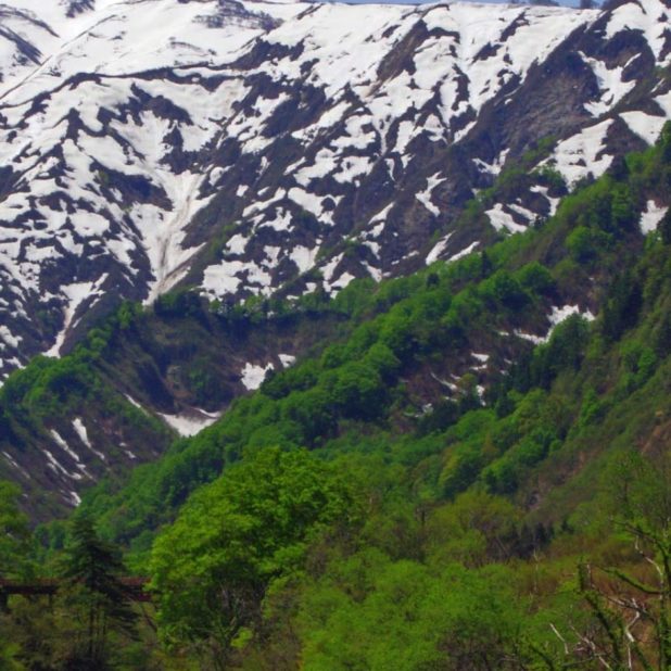 Montaña de la nieve verde natural Fondo de Pantalla de iPhoneXSMax