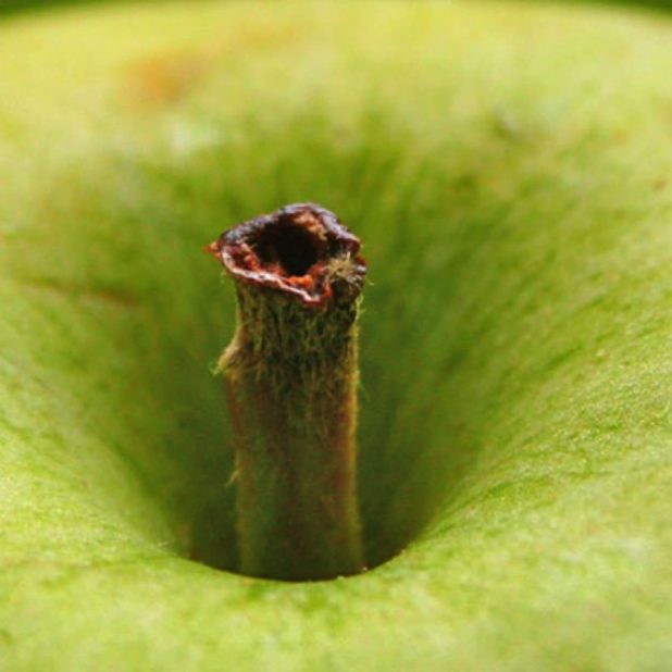 manzana verde desenfoque de la fruta Fondo de Pantalla de iPhoneXSMax