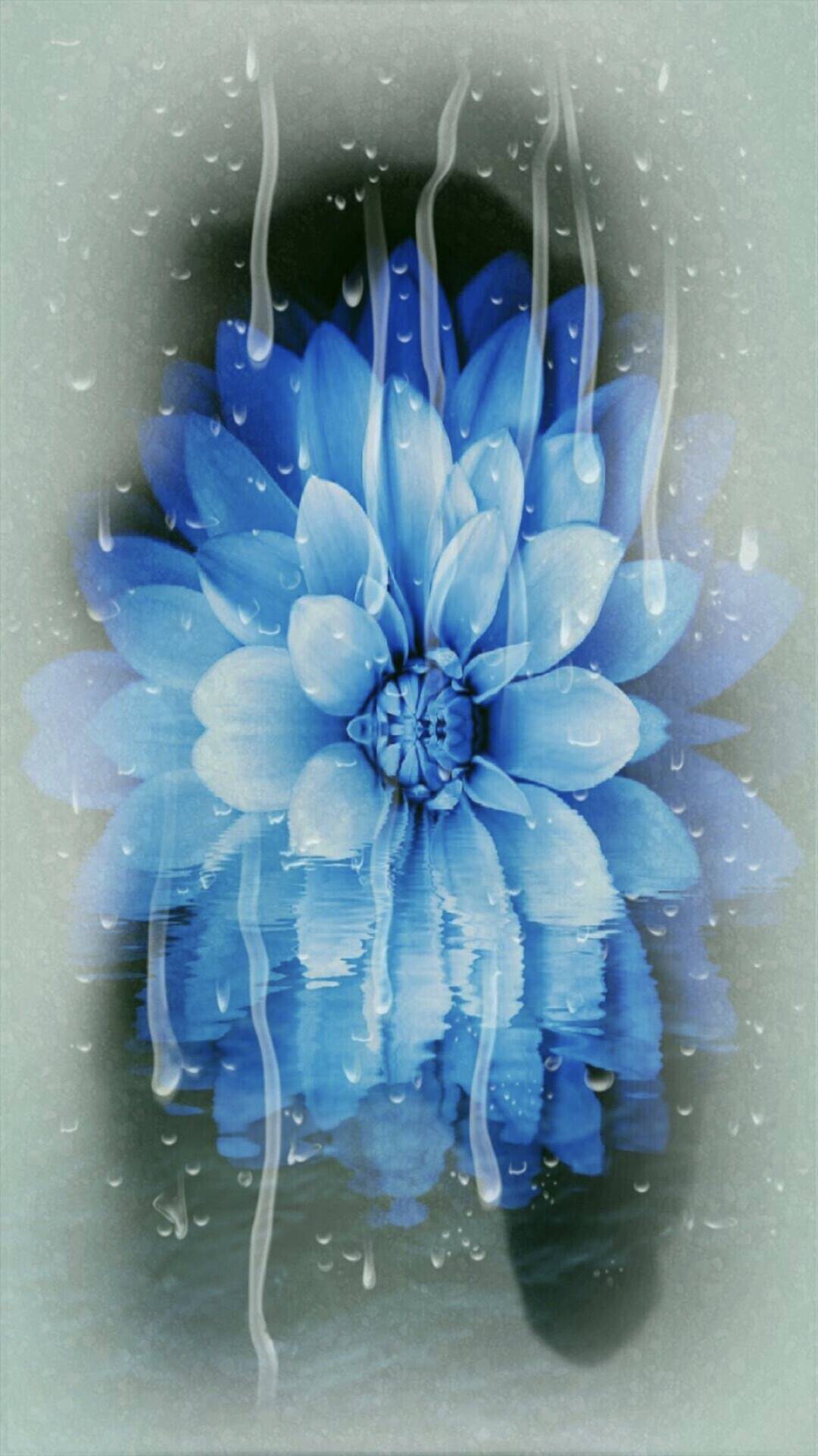Wallpaper Biru Muda Bunga - WALLPAPERS