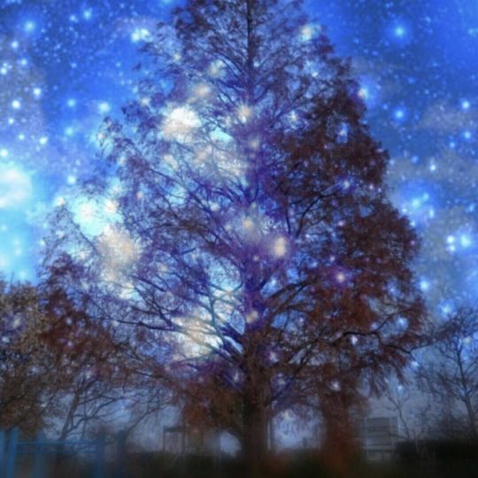 Langit malam pohon Android SmartPhone Wallpaper