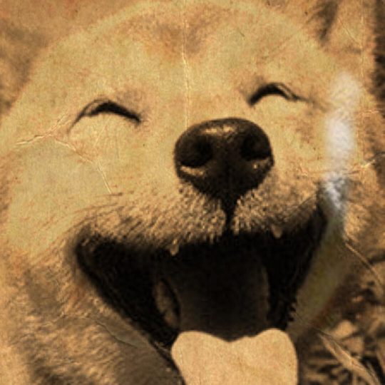 Anjing Sepia Android SmartPhone Wallpaper