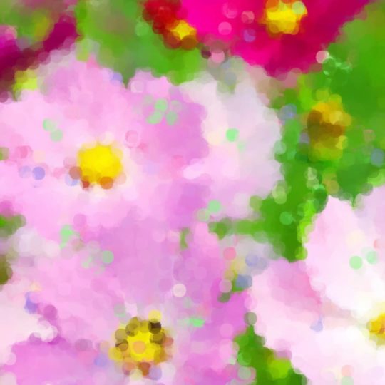kosmos jatuh ceri-blossoms Android SmartPhone Wallpaper