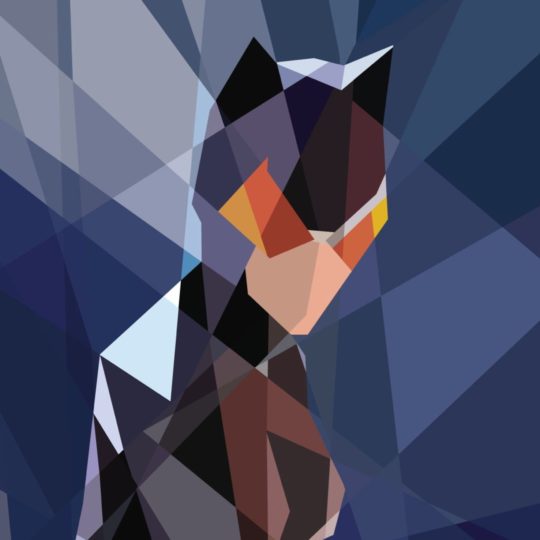 karakter Catwoman Android SmartPhone Wallpaper