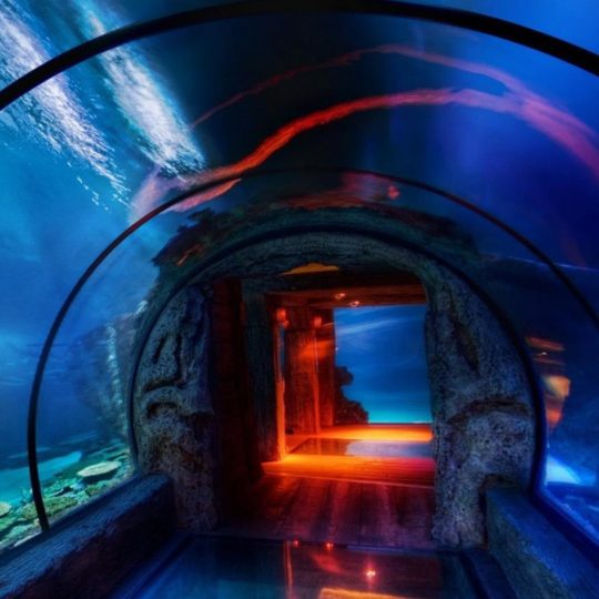 pemandangan akuarium biru Android SmartPhone Wallpaper