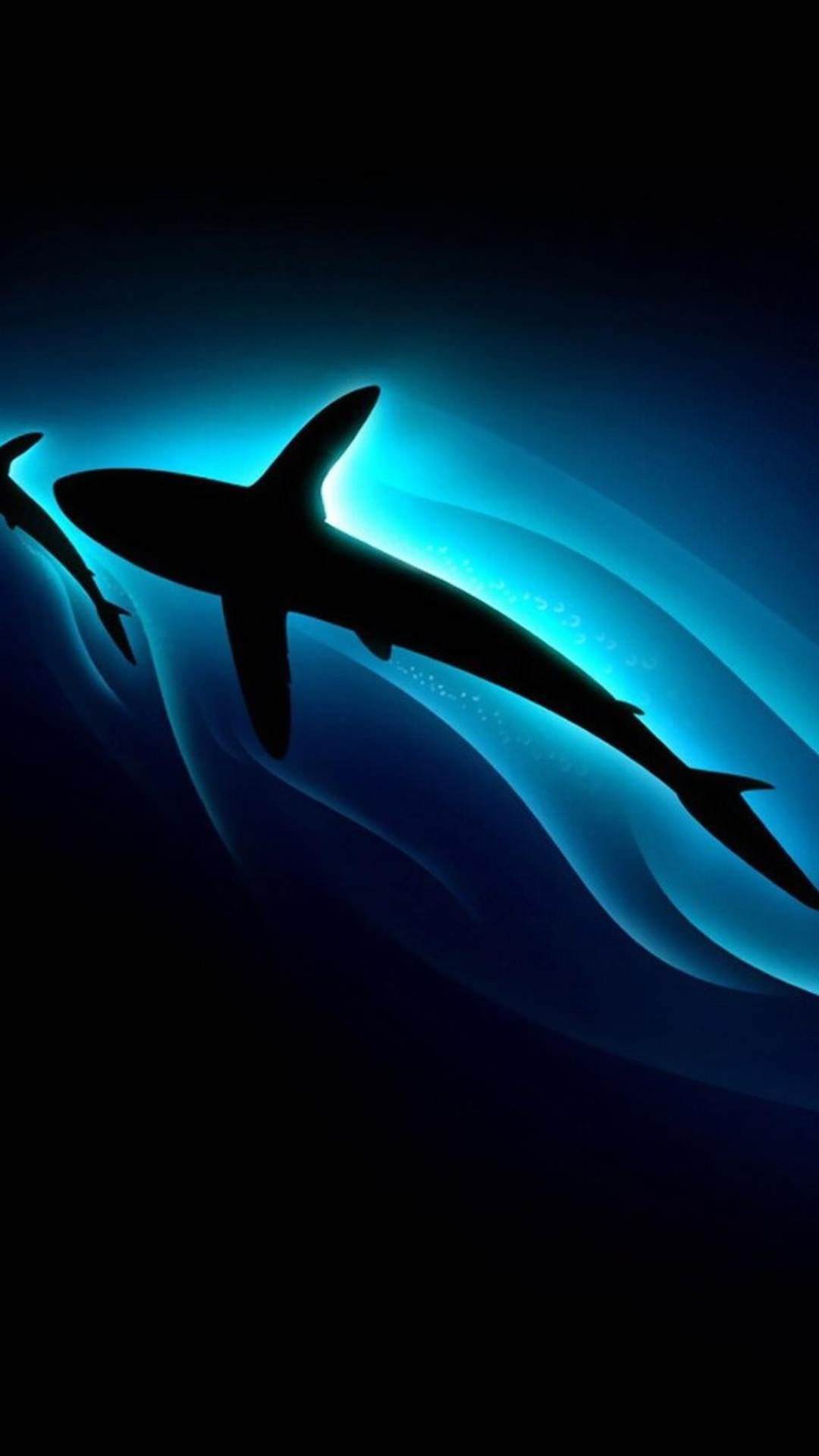 Biru hitam lumba-lumba hewan | wallpaper.sc Android