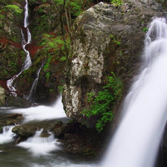 pemandangan terjun Android SmartPhone Wallpaper