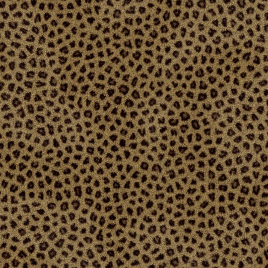 pola Leopard Android SmartPhone Wallpaper