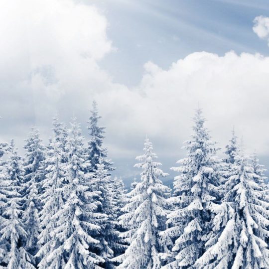 Pemandangan salju mori Android SmartPhone Wallpaper