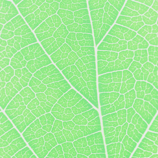 pola vena hijau Android SmartPhone Wallpaper