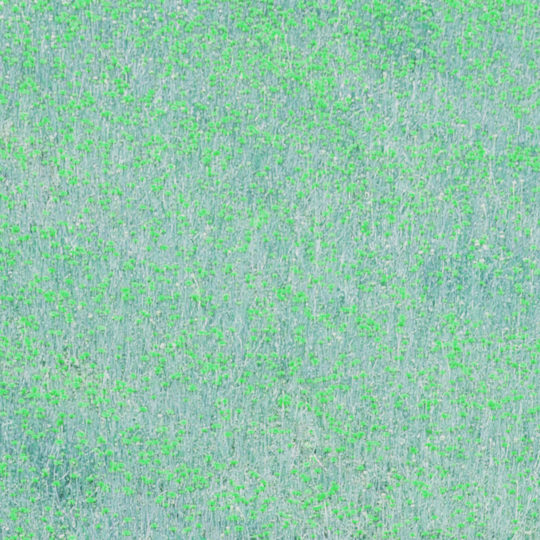 Landscape taman bunga Biru hijau Android SmartPhone Wallpaper