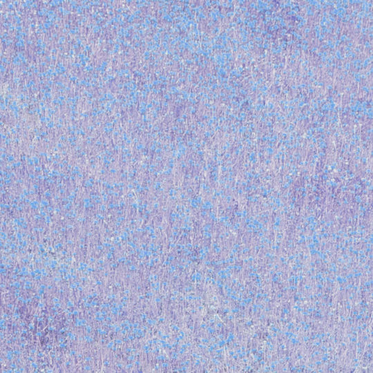 Landscape taman bunga biru ungu Android SmartPhone Wallpaper