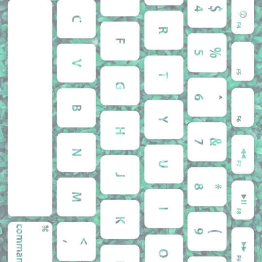Keyboard daun Biru-hijau putih Android SmartPhone Wallpaper
